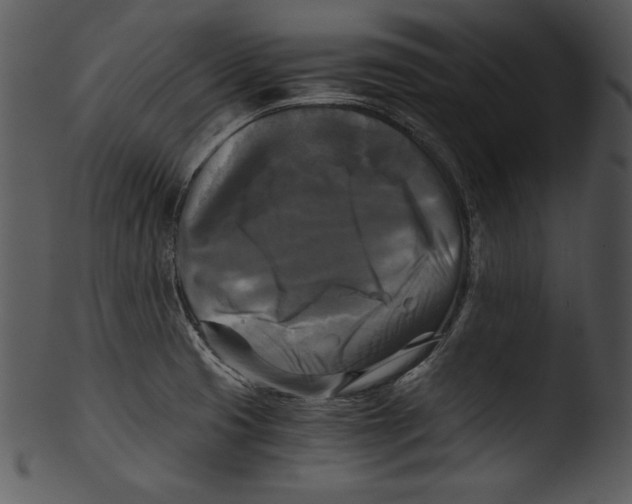 X0000103221425200809251125