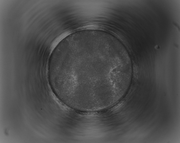 X0000103221426200809251125