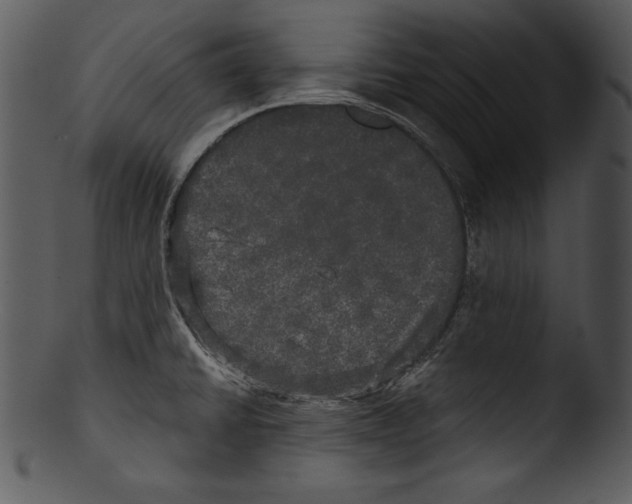 X0000103221430200809251125