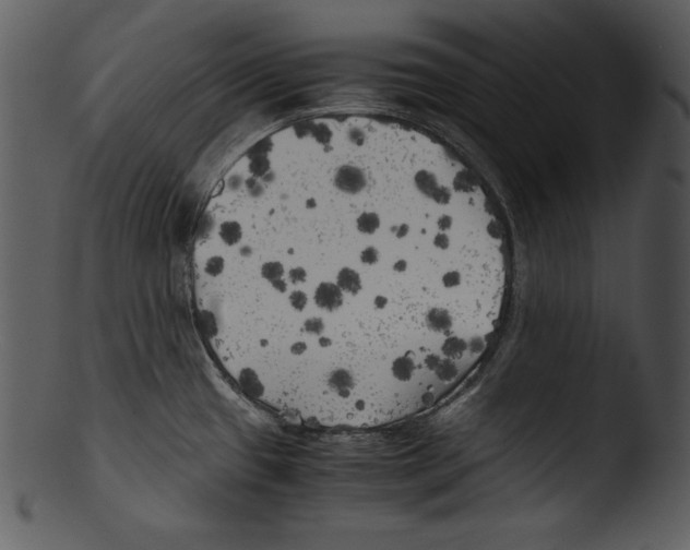 X0000103221433200809251125