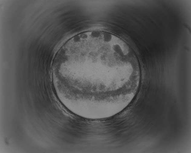 X0000103221436200809251125