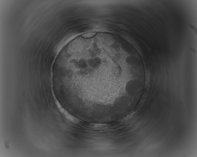 X0000103221439200809251125