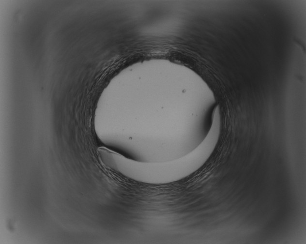 X0000103221441200809251124