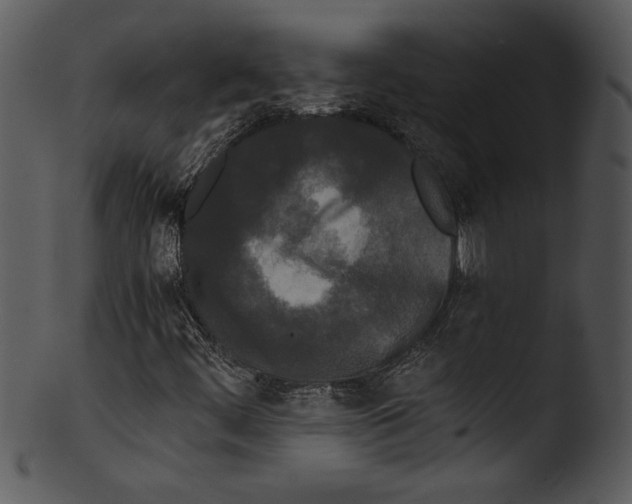 X0000103221444200809251124