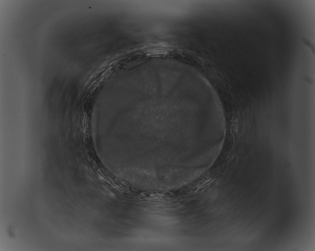 X0000103221445200809251124