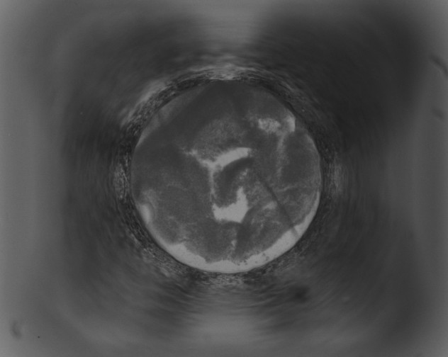 X0000103221446200809251124