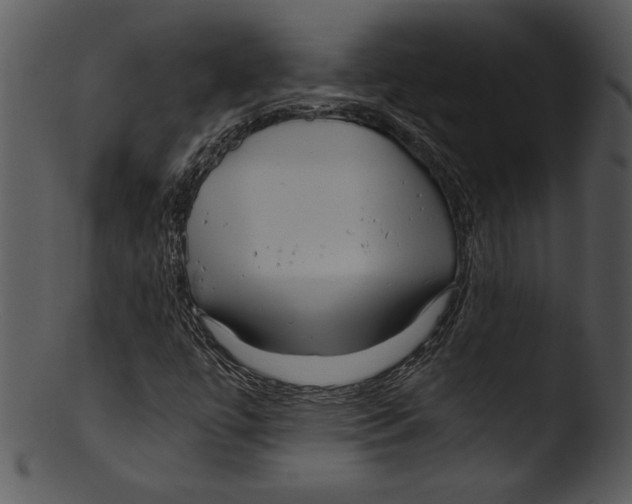 X0000103221447200809251124