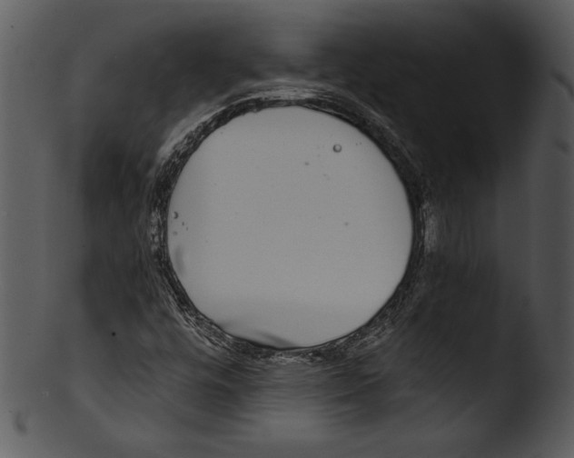 X0000103221448200809251124