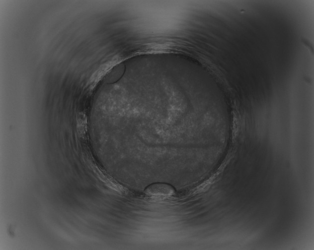 X0000103221449200809251124