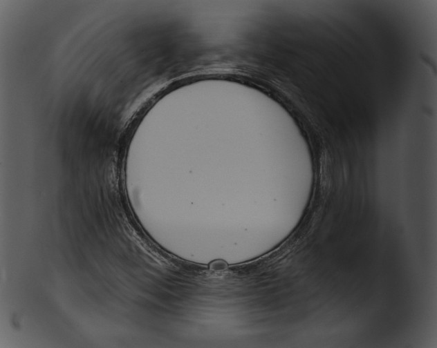 X0000103221452200809251124