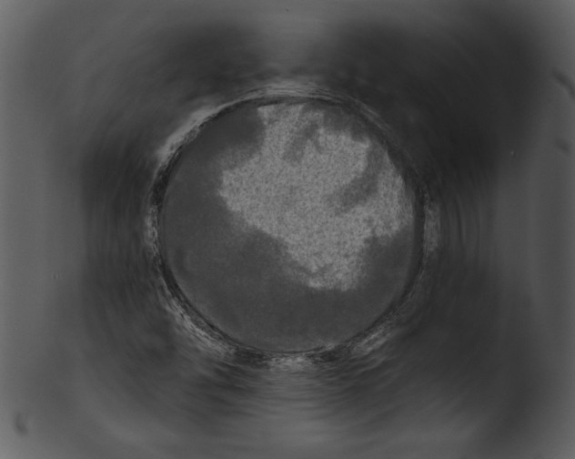 X0000103221454200809251124