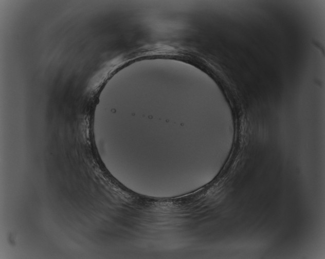 X0000103221455200809251124