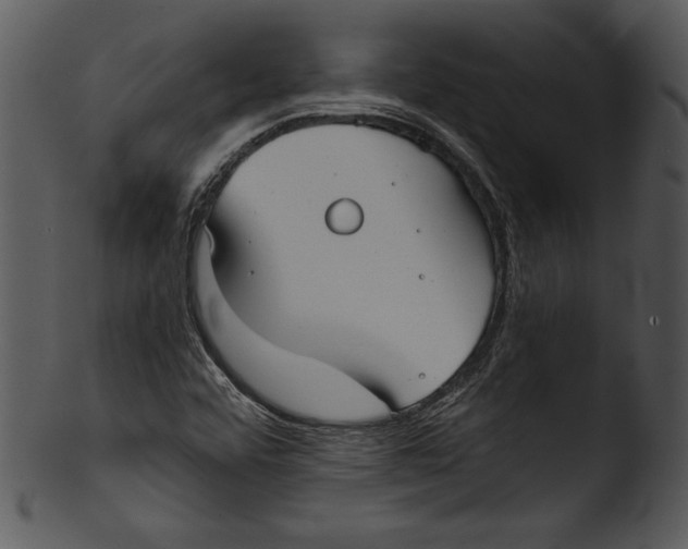 X0000103221456200809251124