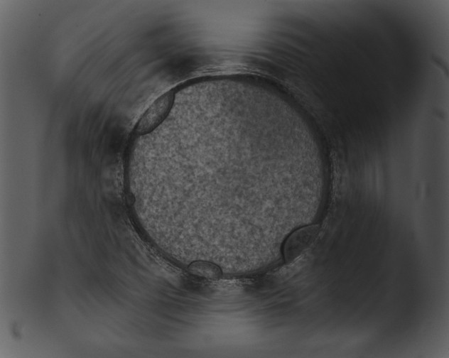 X0000103221457200809251124