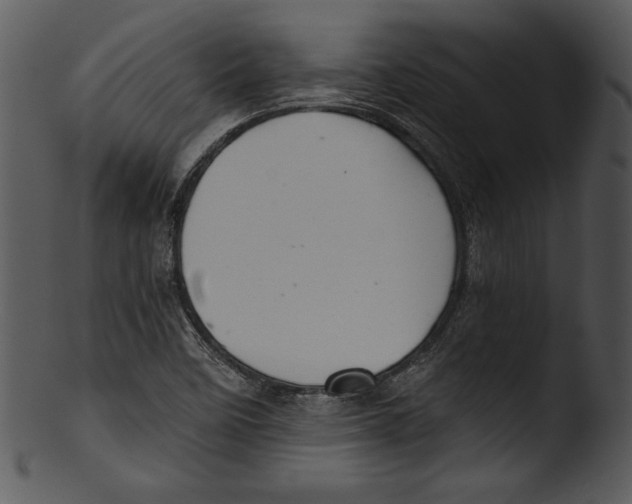 X0000103221458200809251124