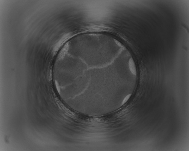 X0000103221459200809251124