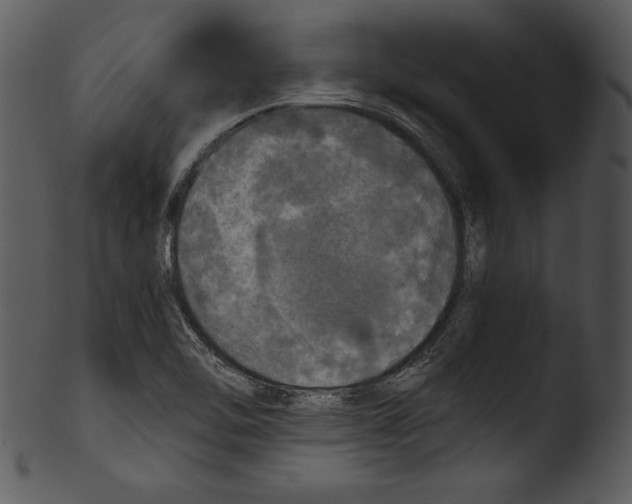 X0000103221462200809251124