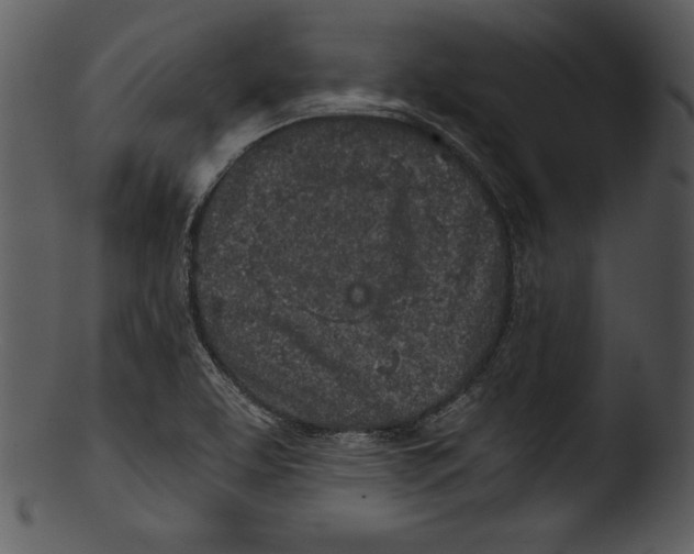 X0000103221463200809251124