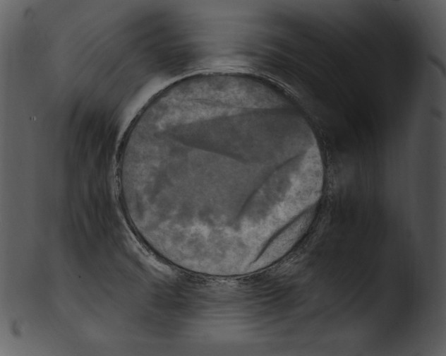 X0000103221470200809251124