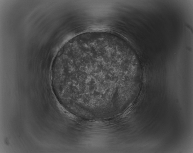 X0000103221471200809251124