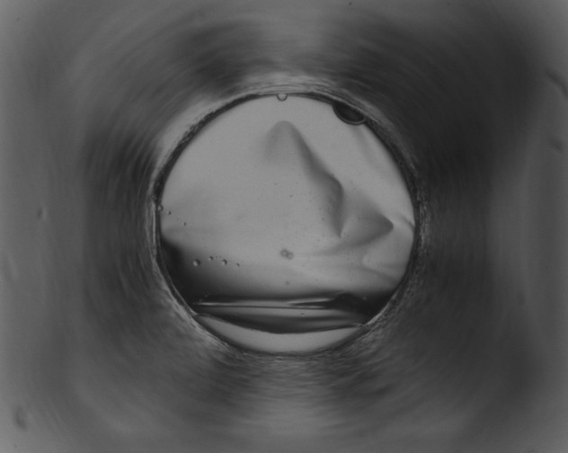 X0000103221472200809251124