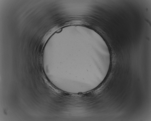 X0000103221473200809251124