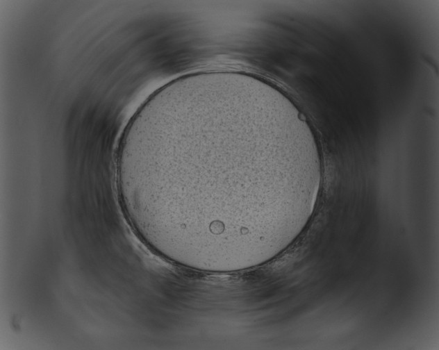 X0000103221478200809251123