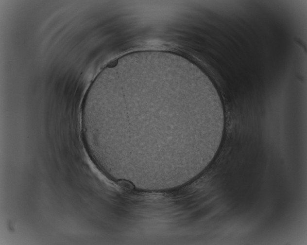 X0000103221479200809251123