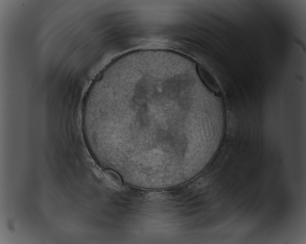 X0000103221480200809251123