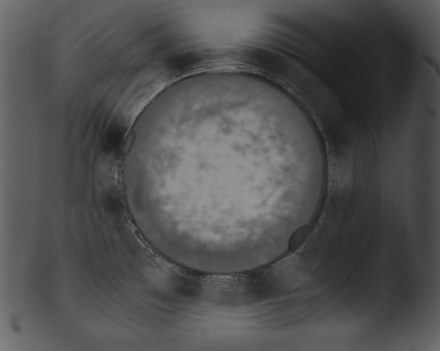 X0000103221481200809251123