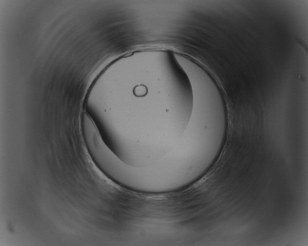 X0000103221484200809251123