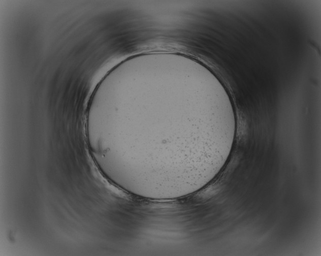 X0000103221486200809251123