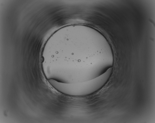 X0000103221488200809251123