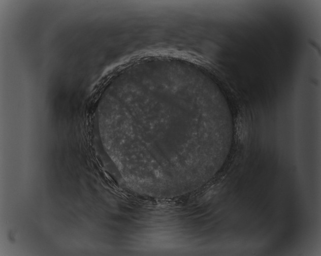 X0000103221494200809251123