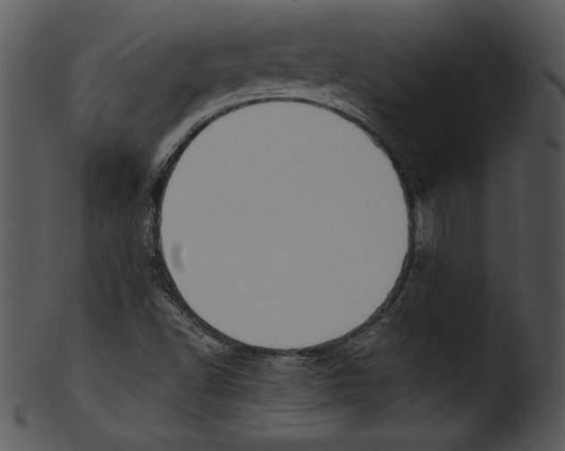 X0000103221502200809251123