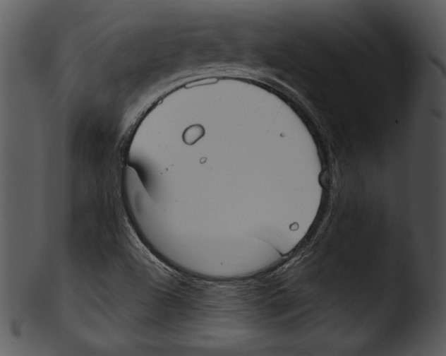 X0000103221504200809251123