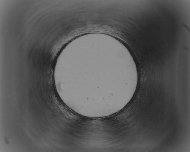 X0000103221507200809251123