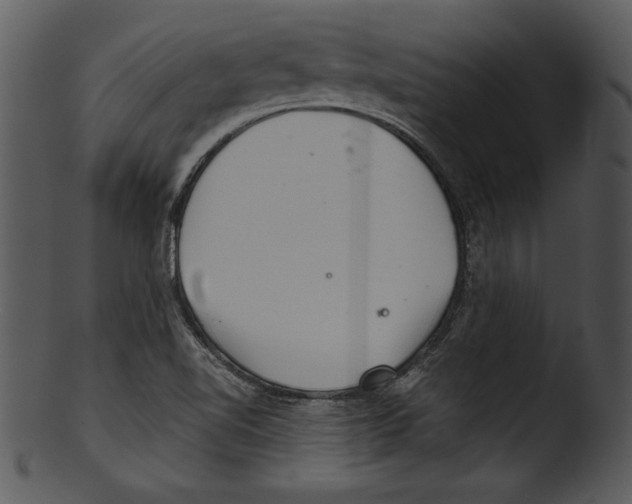 X0000103221510200809251123