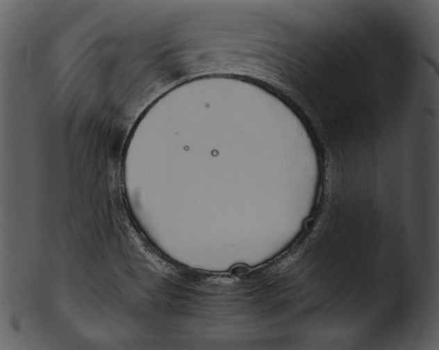 X0000103221513200809251123