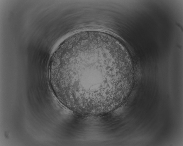 X0000103221514200809251123