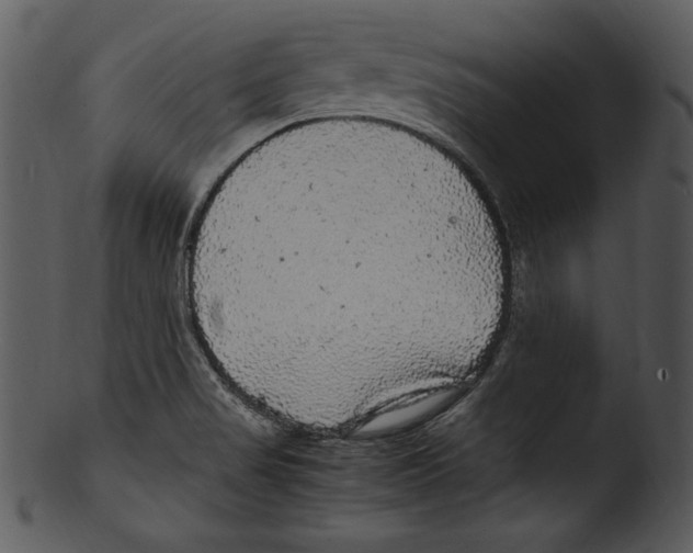 X0000103221517200809251123