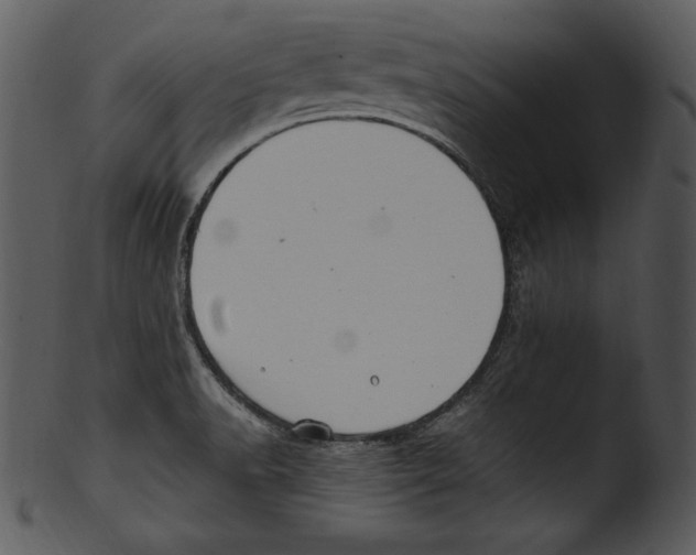 X0000103221518200809251123