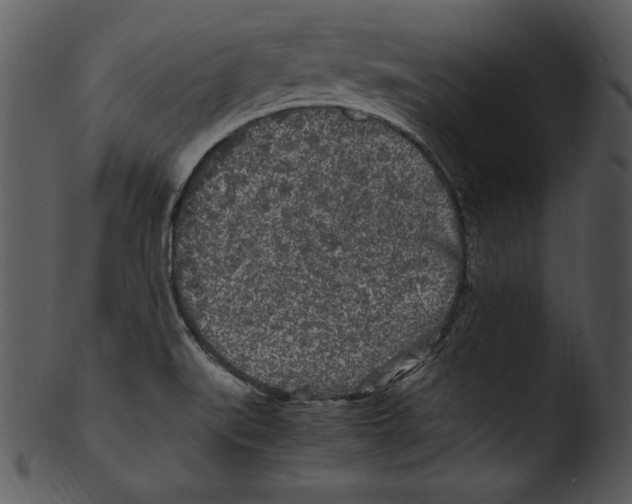 X0000103221519200809251123