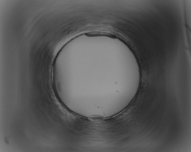 X0000103221520200809251123