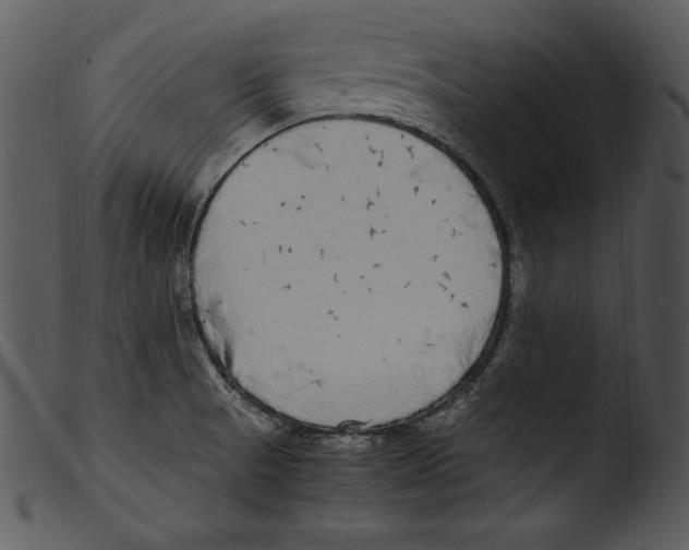 X0000103221521200809251123