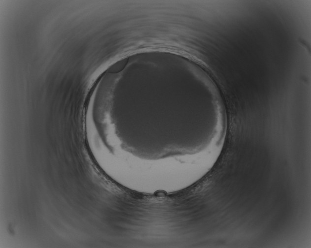 X0000103221522200809251123