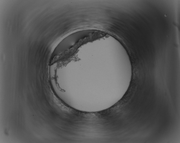 X0000103221524200809251123