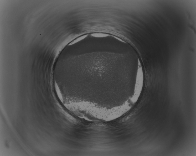 X0000103221525200809251123