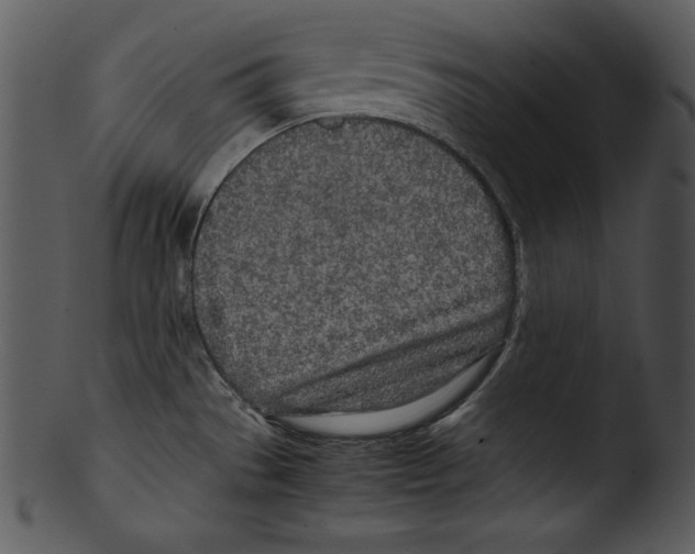 X0000103221529200809251123