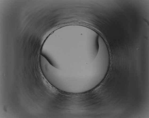 X0000103221530200809251123